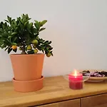 アパート Apartmenthaus Feuerbach ライプツィヒ