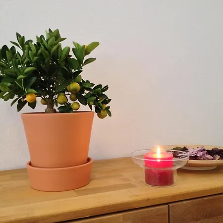 Appartement Apartmenthaus Feuerbach Leipzig